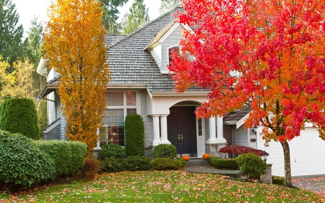 update your landscaping for fall